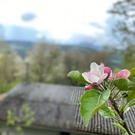 度假居 Auszeit Am Steinbichl