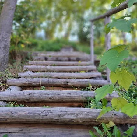 Auszeit Am Steinbichl * Feistritz am Wechsel