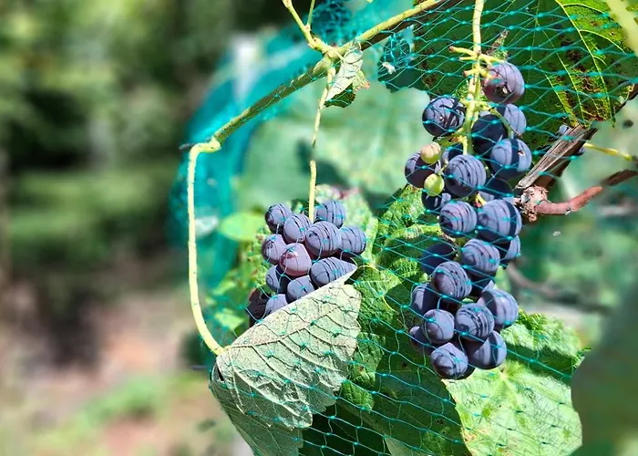 Auszeit Am Steinbichl Nyaraló *